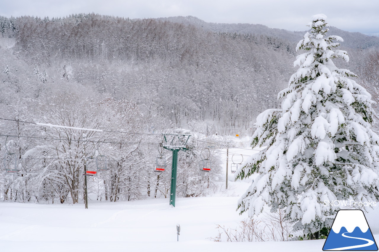 かもい岳国際スキー場｜今季の降雪量は、道内トップクラス！クリスマスイブのレポートは、積雪たっぷりの『かもい岳』(^^)v